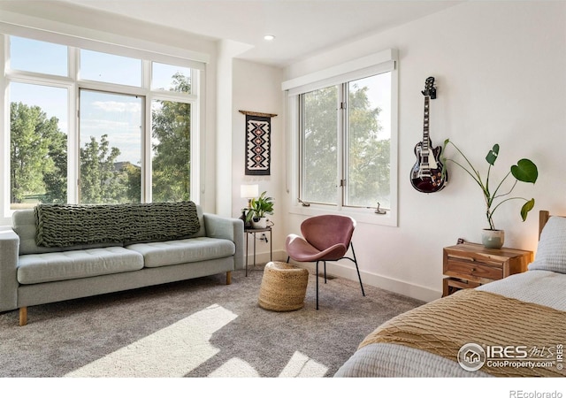 view of carpeted bedroom