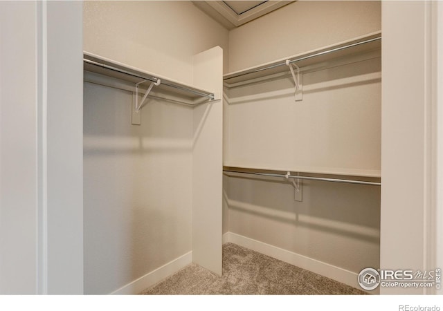 265 High Point Dr Unit 203, Longmont, CO 80504 - spacious closet featuring carpet floors