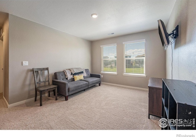 living room with carpet floors