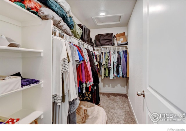 spacious closet featuring light colored carpet