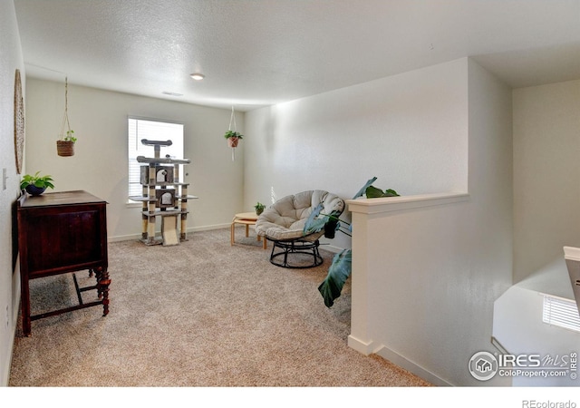 sitting room featuring carpet floors and a textured ceiling