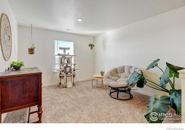 living area featuring light colored carpet