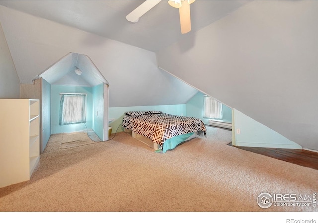 unfurnished bedroom featuring multiple windows, lofted ceiling, carpet flooring, and ceiling fan