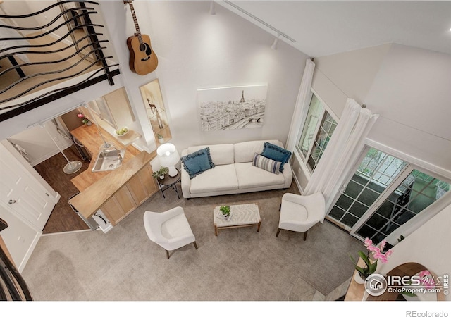 carpeted living room with a high ceiling and track lighting