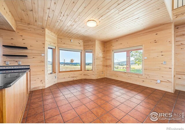 interior space featuring wooden ceiling, tile patterned floors, and wooden walls