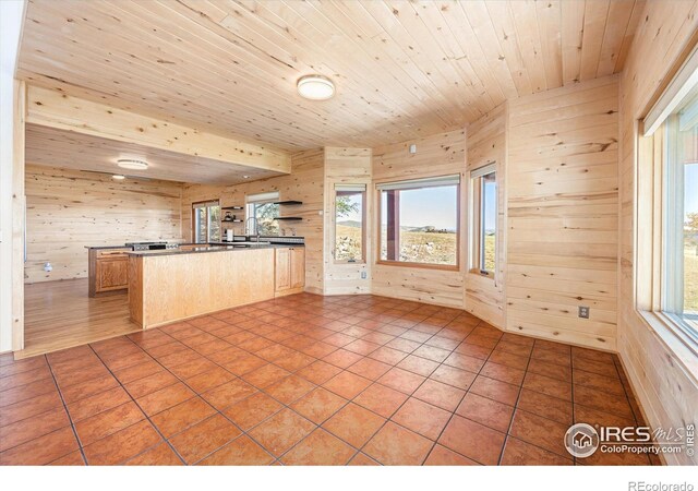 kitchen with wood walls, light brown cabinets, wood ceiling, and plenty of natural light