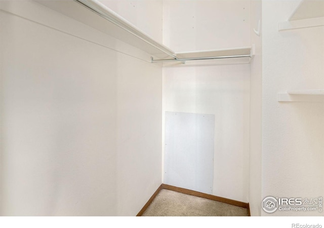 1155 S Saint Vrain Ave Unit U6, Estes Park, CO 80517 - spacious closet with carpet flooring