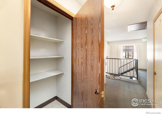 1155 S Saint Vrain Ave Unit U6, Estes Park, CO 80517 - view of closet