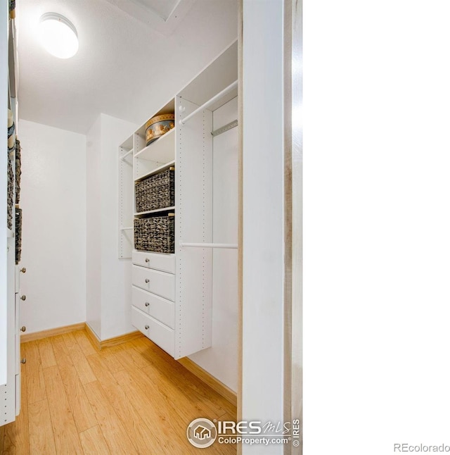 walk in closet featuring wood-type flooring