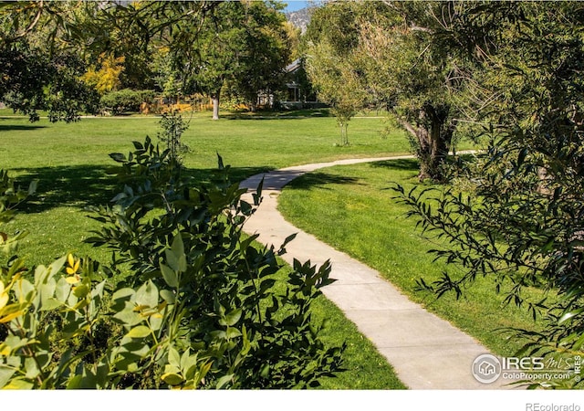 view of property's community with a lawn