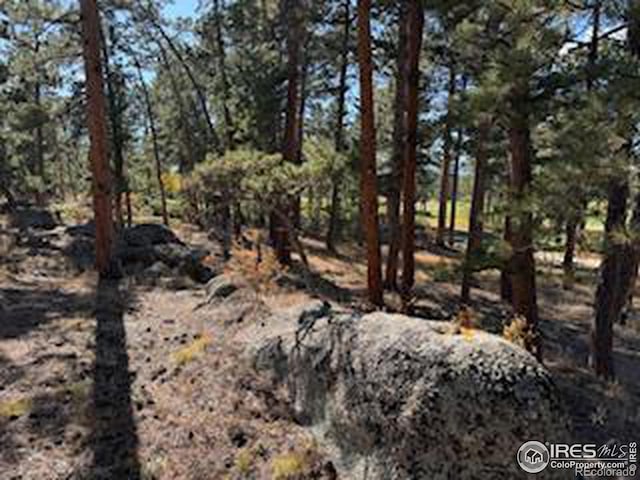 2221 E Fox Acres Dr E, Red Feather Lakes, CO 80545