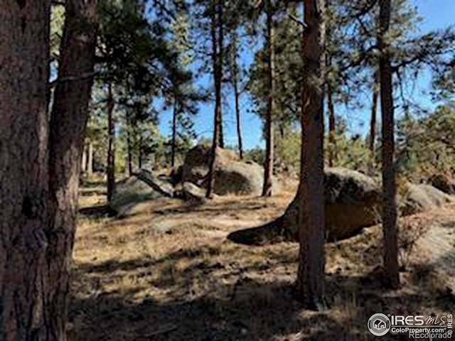 2221 E Fox Acres Dr E, Red Feather Lakes, CO 80545