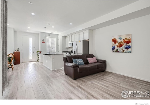 living room with light wood-type flooring