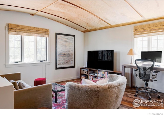 living room featuring lofted ceiling and dark wood-type flooring