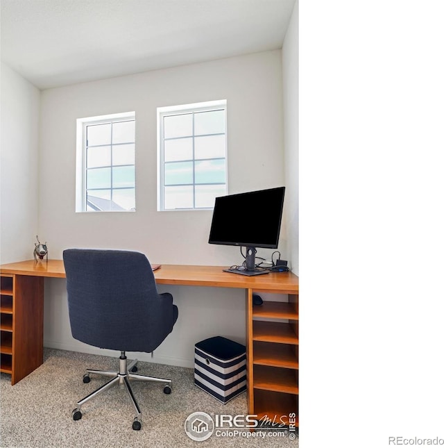 office area featuring carpet flooring