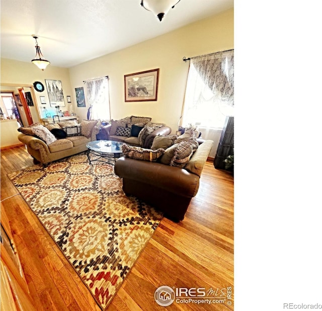 living room featuring a healthy amount of sunlight and hardwood / wood-style floors