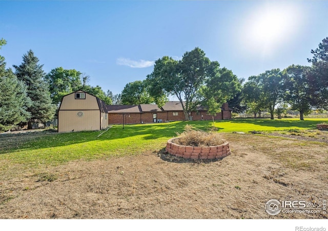 view of yard with a storage shed