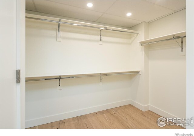 spacious closet with hardwood / wood-style flooring