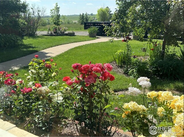 view of property's community with a lawn