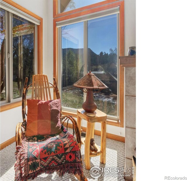 sitting room with baseboards and carpet floors