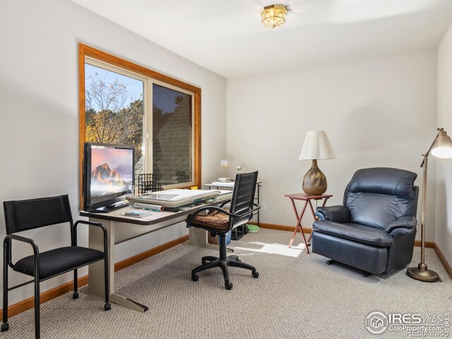 office with baseboards and carpet floors