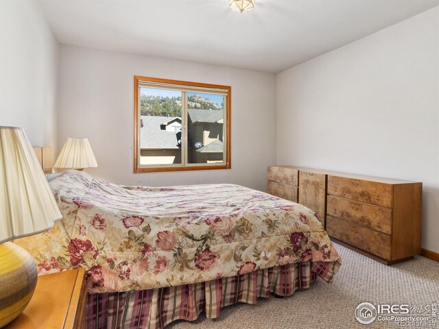 bedroom with carpet flooring