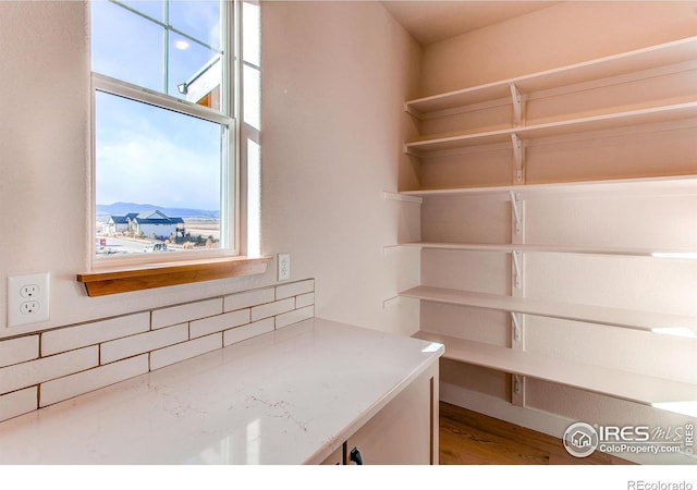 interior space featuring a mountain view and hardwood / wood-style floors