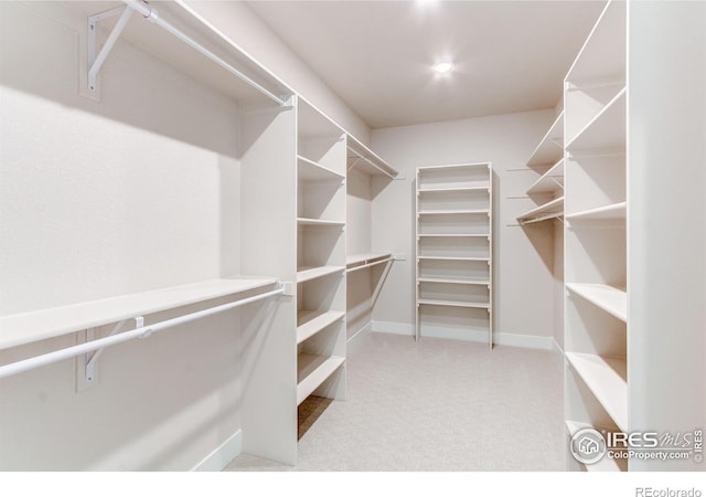 spacious closet featuring carpet