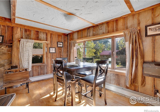 dining space with a baseboard radiator, light hardwood / wood-style flooring, and a healthy amount of sunlight