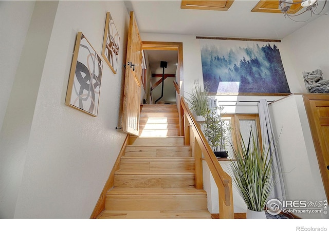 staircase featuring hardwood / wood-style flooring