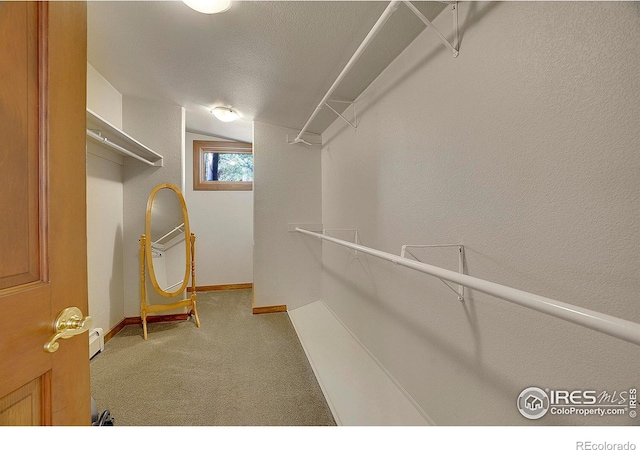 walk in closet with carpet and vaulted ceiling