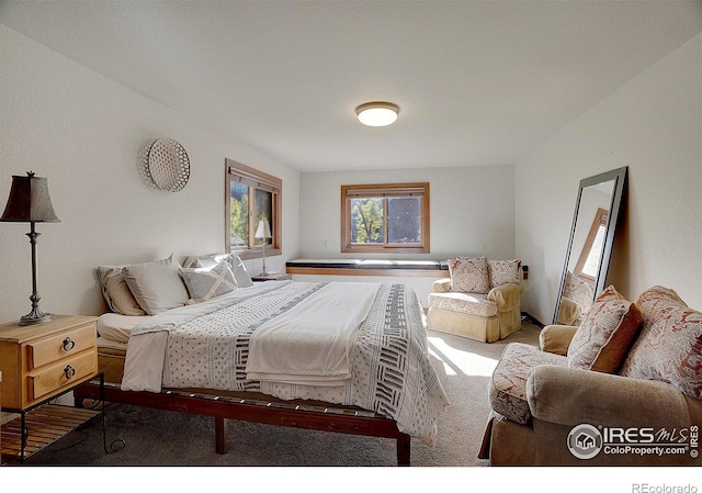 bedroom featuring carpet floors