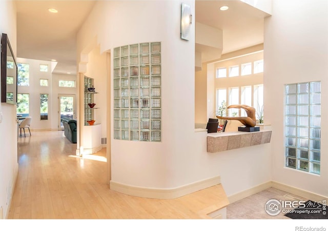 hall featuring a high ceiling, a healthy amount of sunlight, and hardwood / wood-style floors