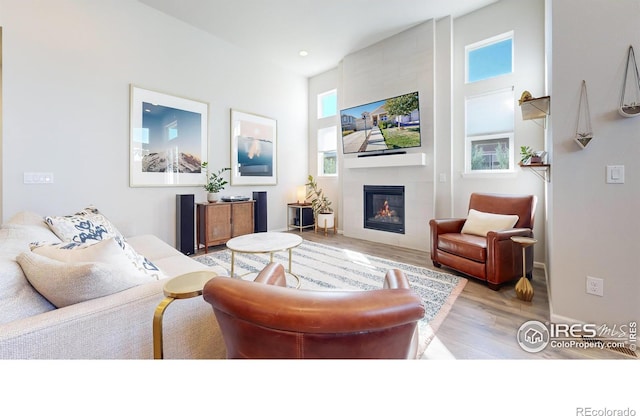 living room featuring a fireplace and light hardwood / wood-style floors