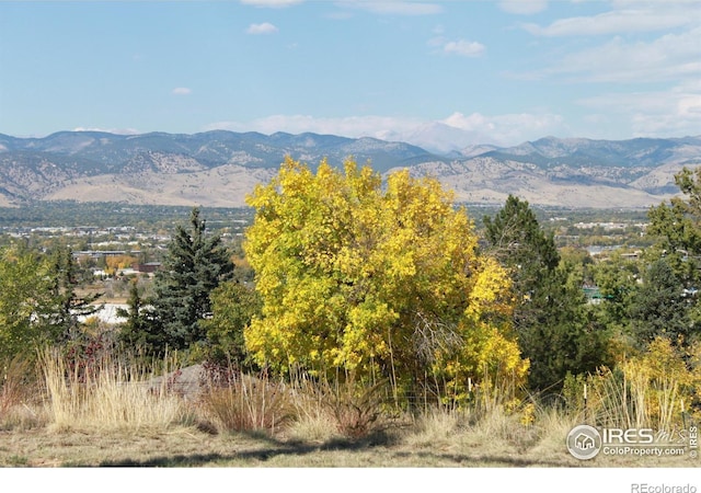 property view of mountains