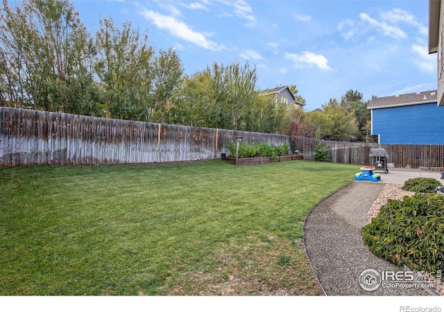 view of yard with a patio