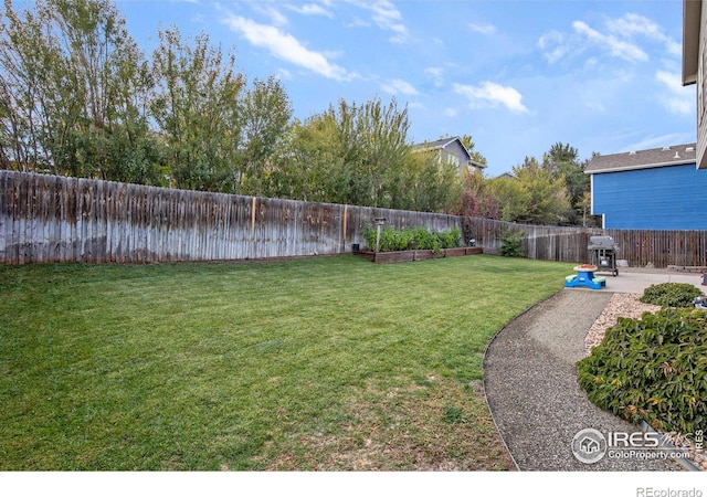 view of yard with a patio and a fenced backyard