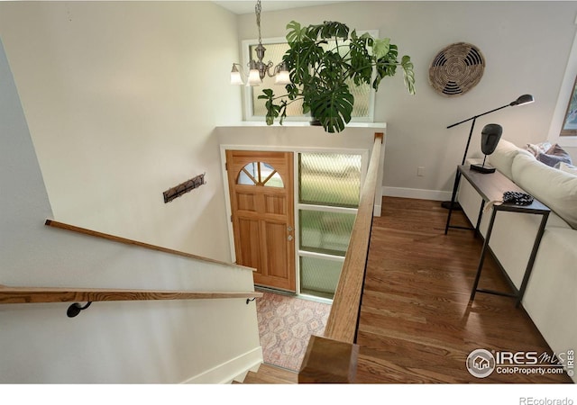 foyer entrance featuring a chandelier and dark hardwood / wood-style flooring