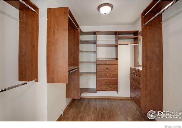 walk in closet with dark hardwood / wood-style flooring