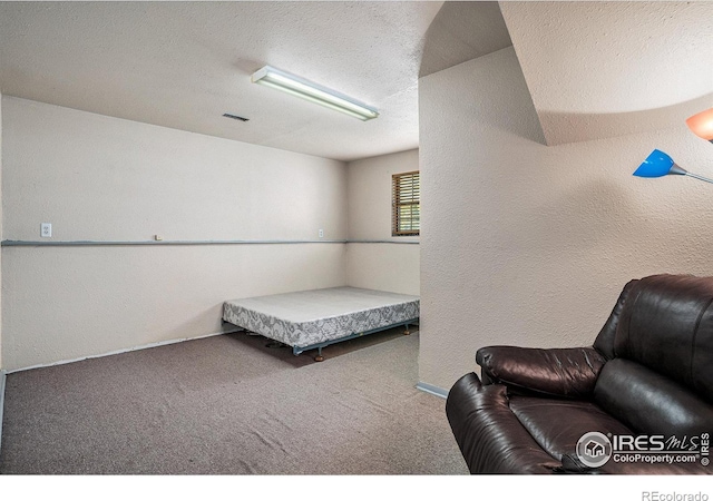 sitting room featuring a textured ceiling and carpet