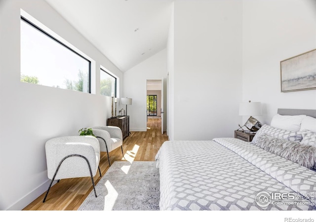 bedroom with light hardwood / wood-style floors and high vaulted ceiling