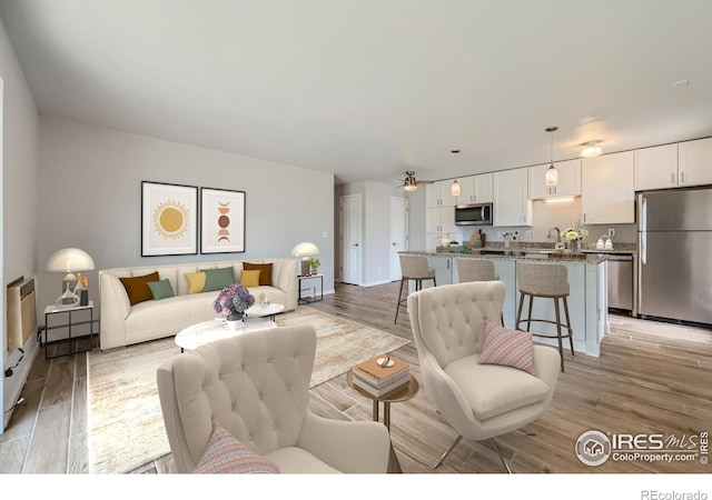 living room featuring light hardwood / wood-style floors