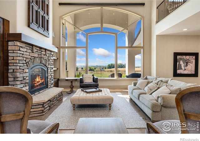 living room featuring wood finished floors and a fireplace