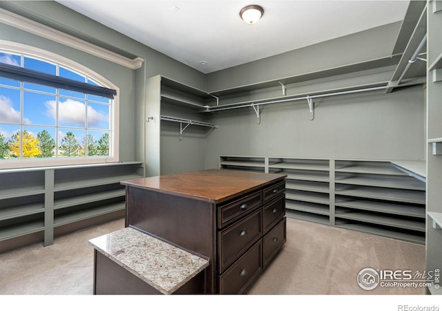 spacious closet featuring light carpet