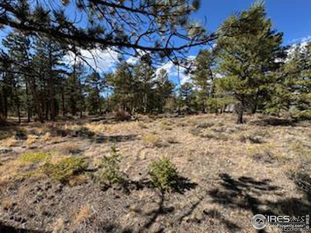 Listing photo 3 for 2921 Fox Acres Dr E, Red Feather Lakes CO 80545