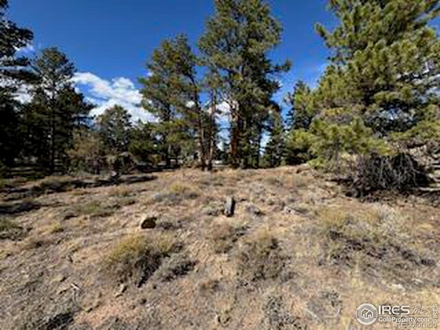 2921 Fox Acres Dr E, Red Feather Lakes, CO 80545