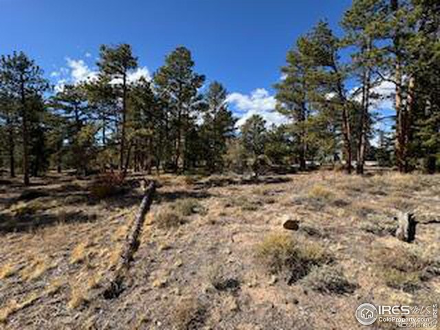 2921 Fox Acres Dr E, Red Feather Lakes, CO 80545