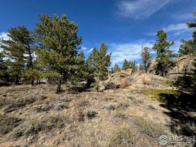 2921 Fox Acres Dr E, Red Feather Lakes, CO 80545