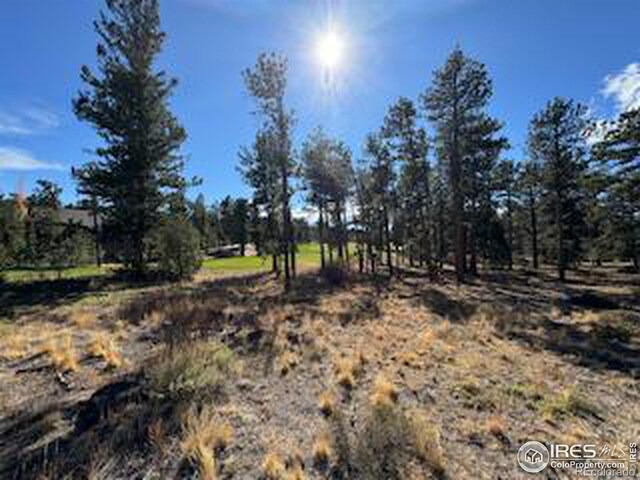 2921 Fox Acres Dr E, Red Feather Lakes, CO 80545