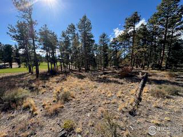 2921 Fox Acres Dr E, Red Feather Lakes, CO 80545